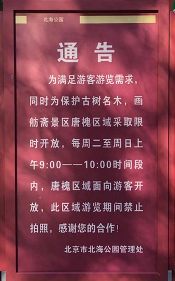 通告.jpg